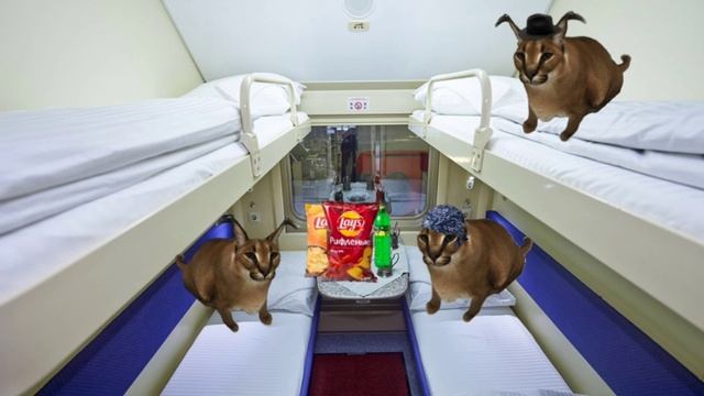 Сбежавший шлёпа 1 сезон 4 серия