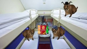 Сбежавший шлёпа 1 сезон 4 серия