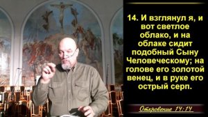 39 часть.  Удаление неверующих с земли. (Через последние суды)  Откр. 14:14-20