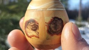 Шкатулка в мартовском лесу на сосне