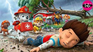 Щенячий патруль и Маршалл. Залипательное видео. Мультфильм для детей и малышей. Анимация 337