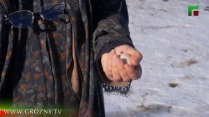 Дайн Кхача Серноводский район. Эфир 17.02.2026