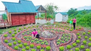 Создаю огород. Грядки для овощей из красного кирпича. Серия 24. Хуан Ли