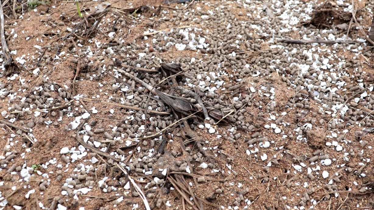 Очередное улучшение моих грядок.