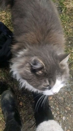 шпасыбкыыыыыыы