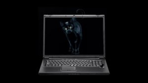 Стуча по клавиатуре. Звуки клавиш клавиатуры