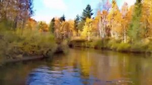 Страшные последствия от несоблюдения поста. Святитель Игнатий Брянчанинов.mp4