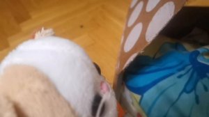 Смешной сборник с Басиками