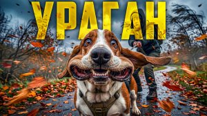 Домашние питомцы против природной стихий