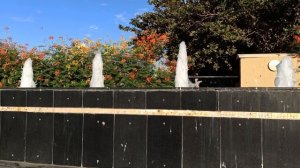 Лайнеры и парк!