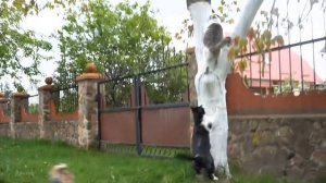 РУБРИКА ВОПРОС ОТВЕТ! ВСЕ ПРАВДА о КАНАЛЕ А НУ-КА ДАВАЙ-КА!