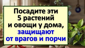 Почему эти растения нужно посадить у дома? Они защищают от врагов, порчи, сглаза и зависти. Приметы