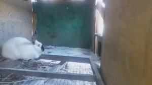 Жизнь на самообезпечении.mp4