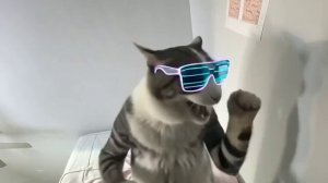 видео как ии