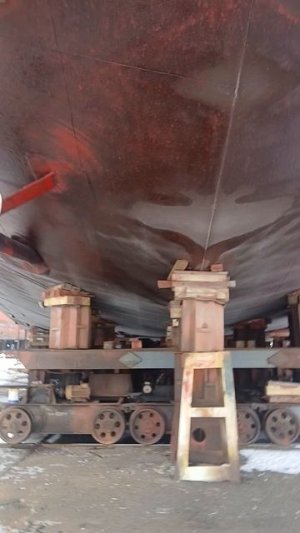 1000011037.mp405.03.2026г.