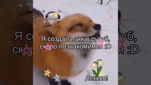 lv_0_20260305221752.mp4