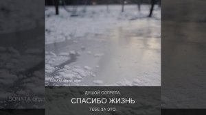 Под вечер грусть.mp4