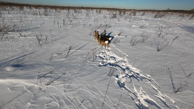 касули dji avata 2