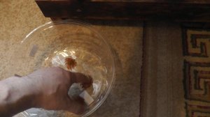 Поздравление с рождением канала. Серия 2.