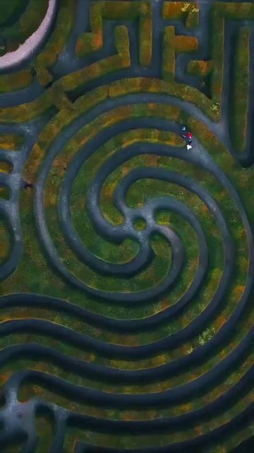 Ирландия 🇮🇪