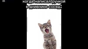 когда написал ручкой в дневнеке