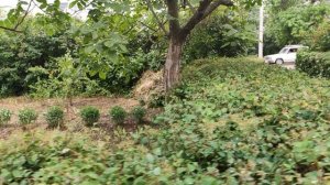 Один из дней города Евпатории | 31 мая 2021 год | Крым | ХАН БАТОН | XAH 6ATOH | VID_20210531_140300