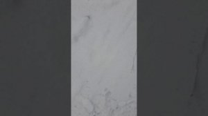 мы ломаем себе позвоночники (мой самый первый сборник)