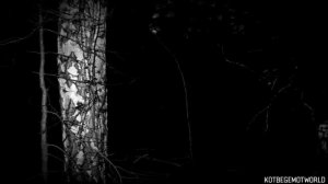 СИБИРСКАЯ ТВАРЬ.. Страшные истории на ночь 🫣🫣🫣