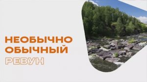 Необычно обычный Ревун