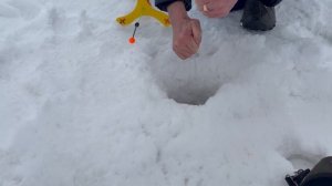 Бывает и такое