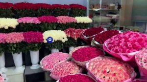 цыганские песни 2026