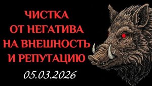 ОТ НЕГАТИВА НА ВНЕШНОСТЬ И РЕПУТАЦИЮ. 05.02.2026