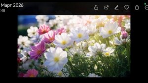 Поздравляю всех девочек 🧚💐🌺💞