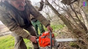 В керченских дворах проводят масштабную обрезку деревьев