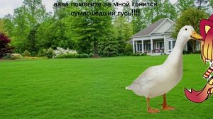 а чё я? я  чё 🙄...