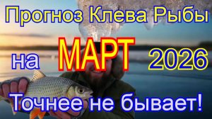 Календарь рыбака на Март 2026 Прогноз клева рыбы Лунный календарь рыболова Март 2026