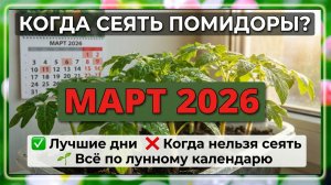Когда сеять ПОМИДОРЫ на рассаду в марте 2026 по лунному календарю, БЛАГОПРИЯТНЫЕ ДНИ