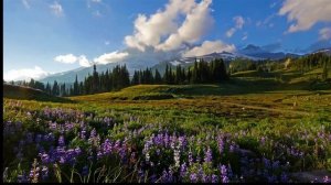 Несоответствие ,мистика