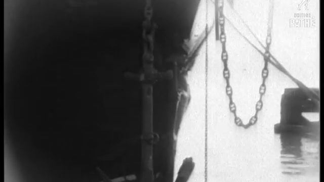 Барк ТОВАРИЩ