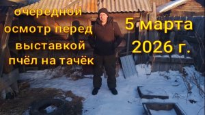 очередной осмотр пчёл перед выставкой на точек