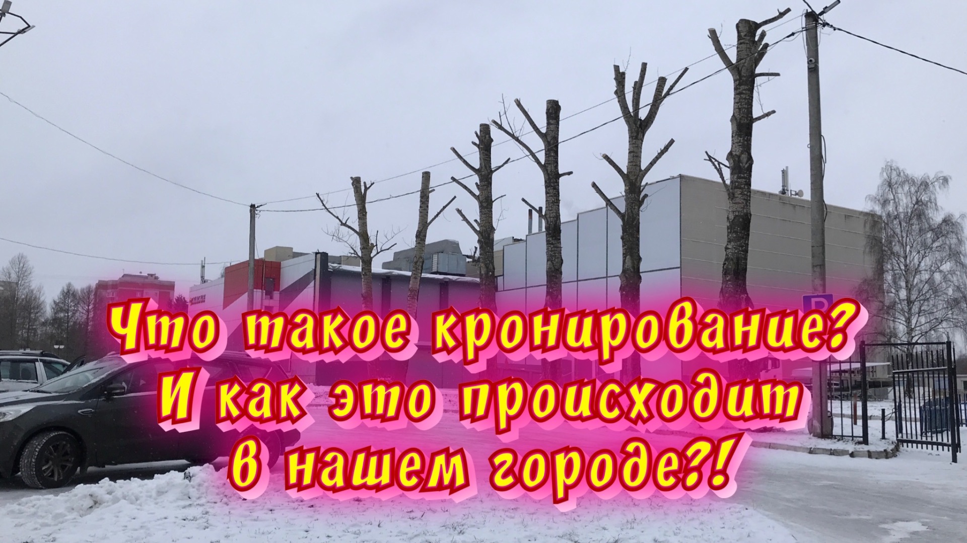 Кронирование - что это? И как оно проводится в нашем городе?! / Статья в видео / Архив от 08.01.2024