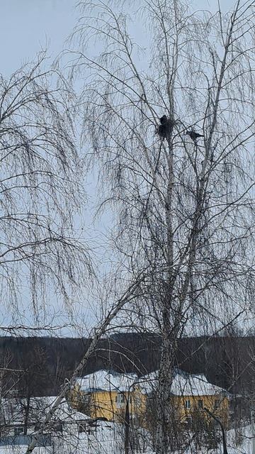 муж гуляка просится домой