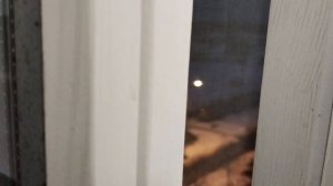 Сигнал кириши до 4 марта подключат громкоговорители 🔊 Сирены🚨 прозвучит Ленинградская область