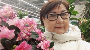 Новые поступления комнатных растений в ЛеманаПро. Март 2026 г.