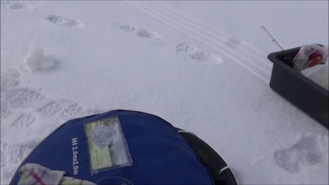 ТОЧКА ЛОВА. На р. Волга за окунями.