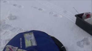 ТОЧКА ЛОВА. На р. Волга за окунями.