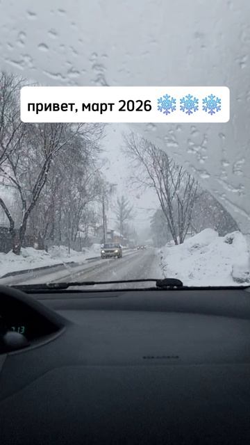 Ожидание:  весенний вайб и солнце 💐 Реальность:  хлопья снега размером с мои планы на весну 🌨