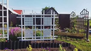 Красивая шпалера для клематисов моими руками за 3 дня