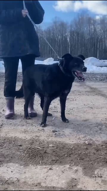 Он сам себя спас. Теперь ваша очередь 🤍