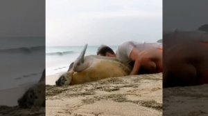 Видео от МЭН - Мне Это Нравится